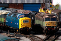Class 52 and 55