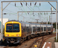323202