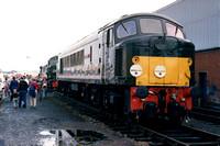 Class 44, 45 and 46